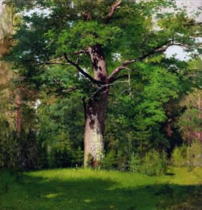 Isaak Iljitsch Lewitan: Die Eiche (1880)